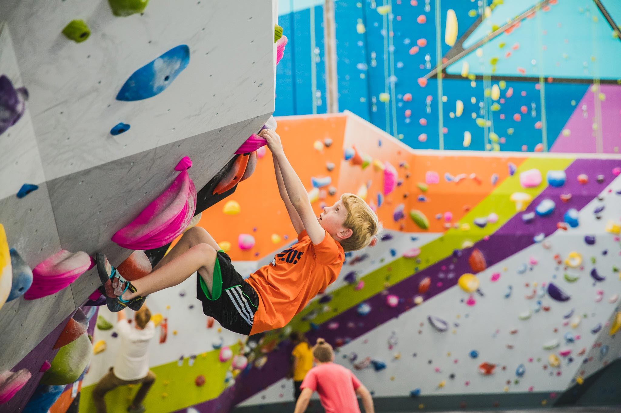 Ascent Studio - Climbing & Fitness - Fort Collins, CO